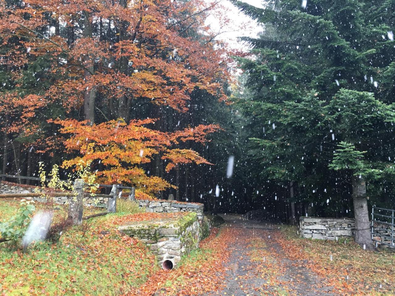 Lodge U Pichleru