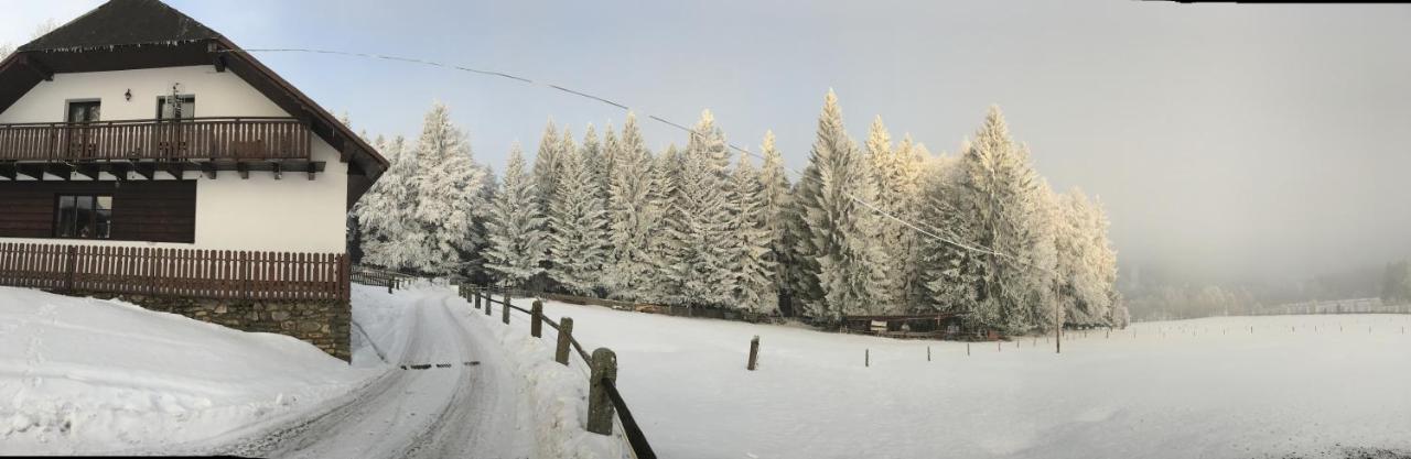 Lodge U Pichleru *