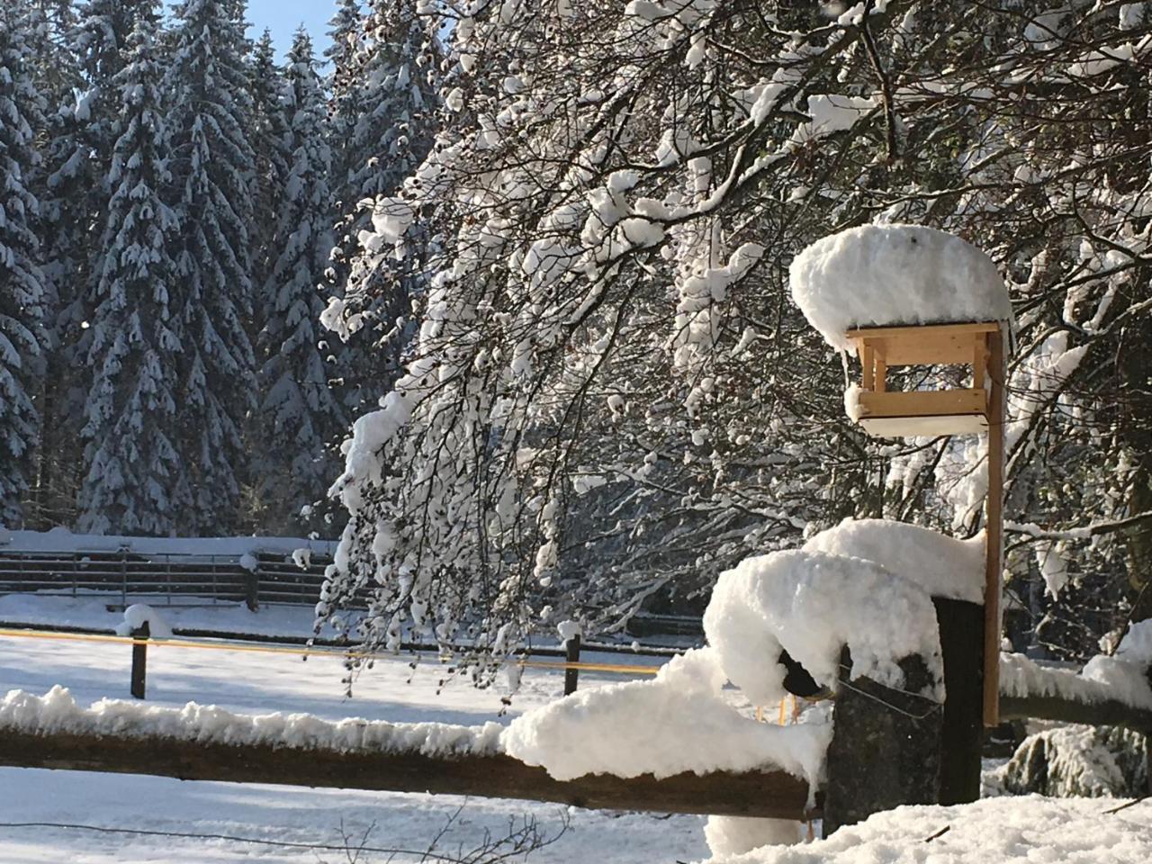 Lodge U Pichleru *