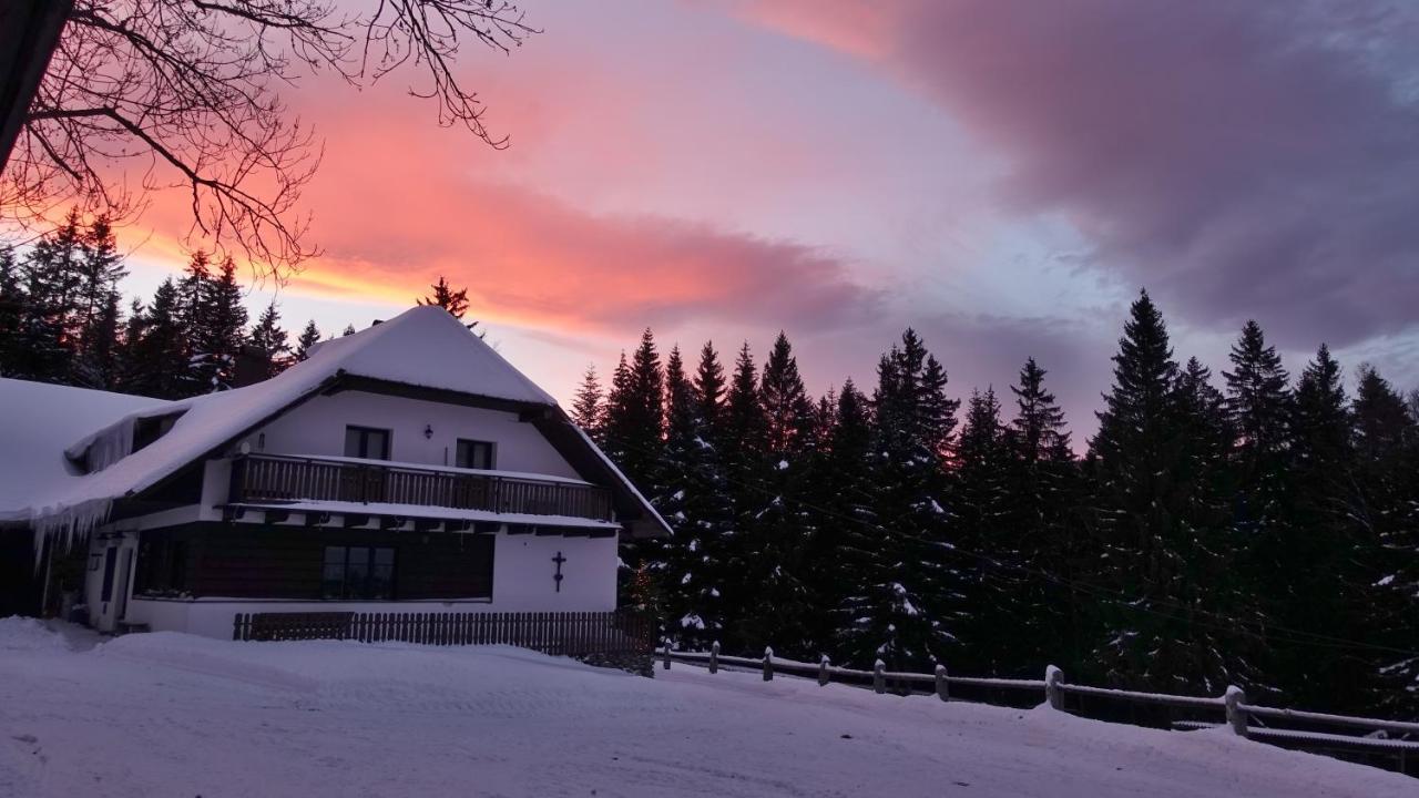 U Pichleru Lodge Stachy
